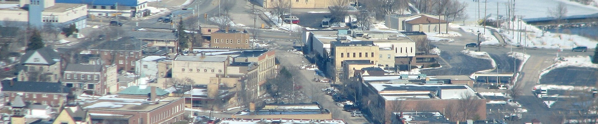 Tree providers in West Bend