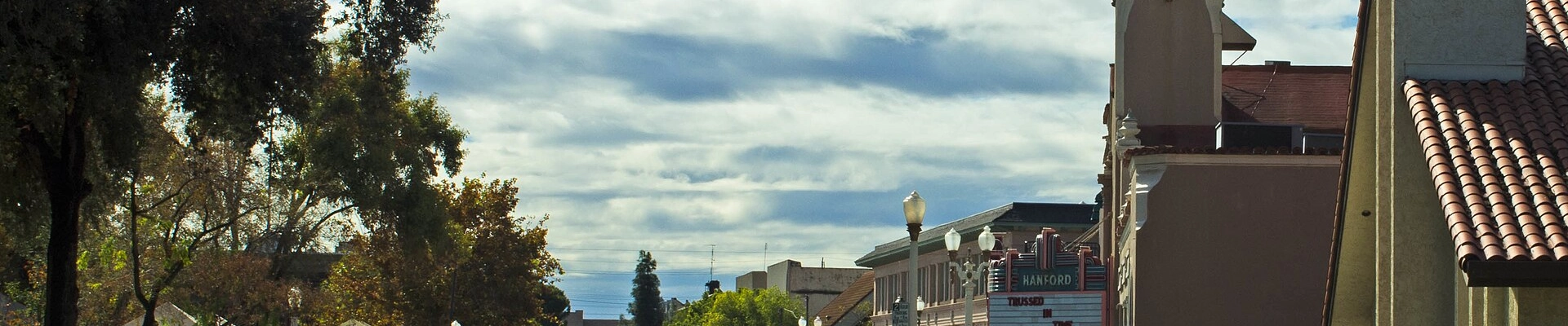 Tree providers in Hanford