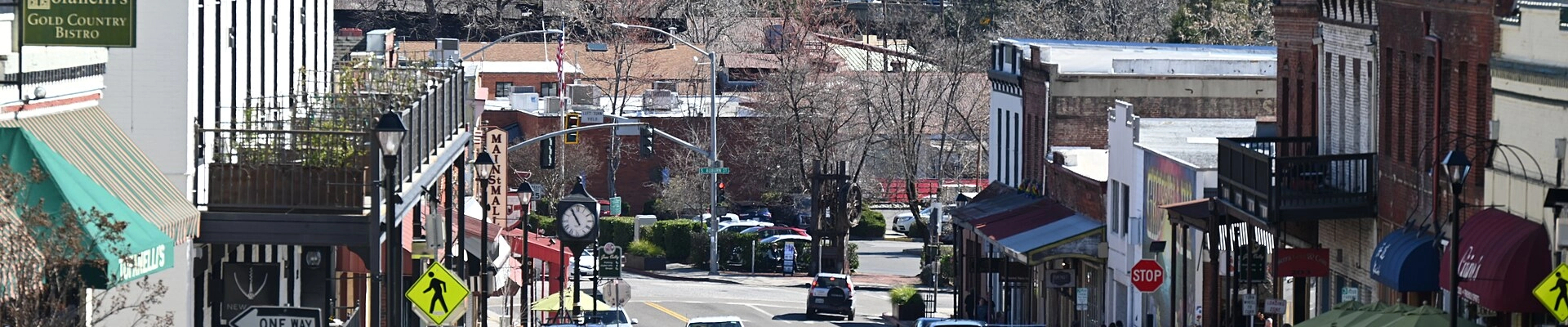 Tree providers in Grass Valley
