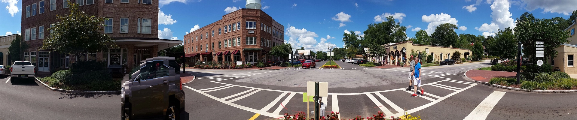 Local pros in Senoia, GA