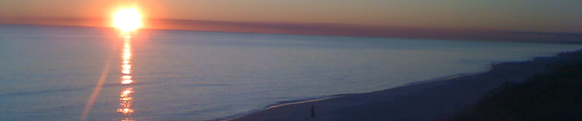 Local pros in Santa Rosa Beach, FL