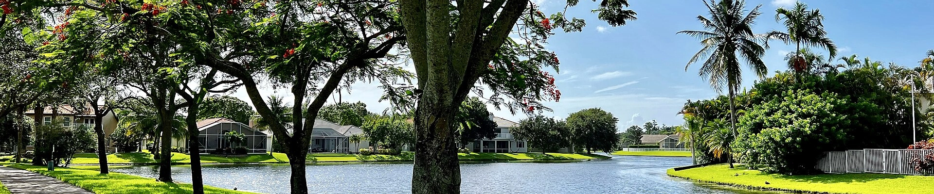 House Cleaning, Landscaping, and Electrical in Coconut Creek