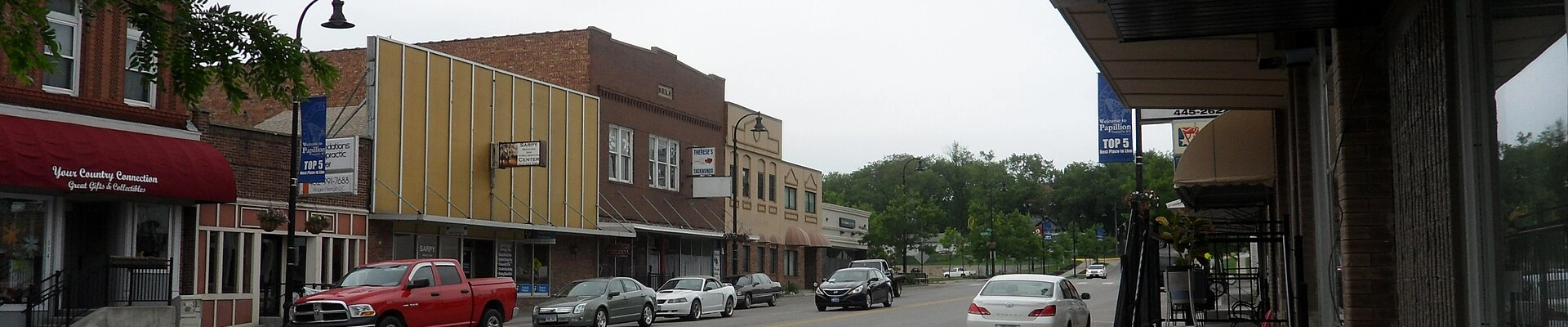Local pros in Papillion, NE