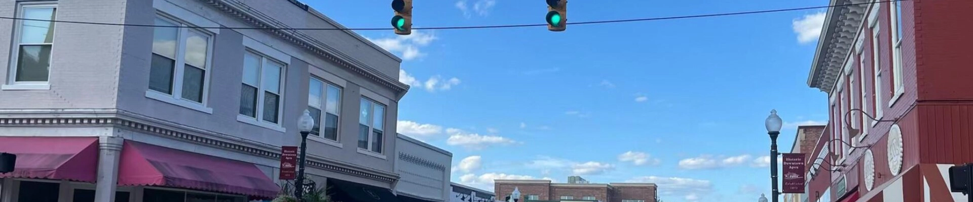 Local pros in Apex, NC