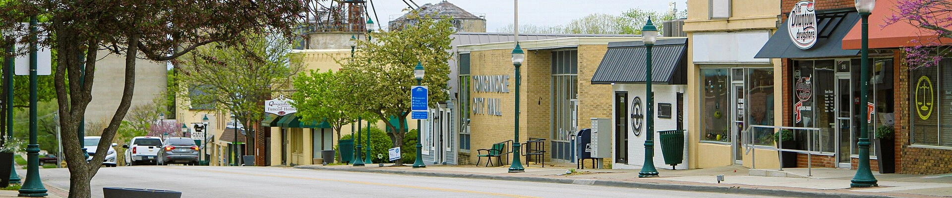Local pros in Tonganoxie, KS