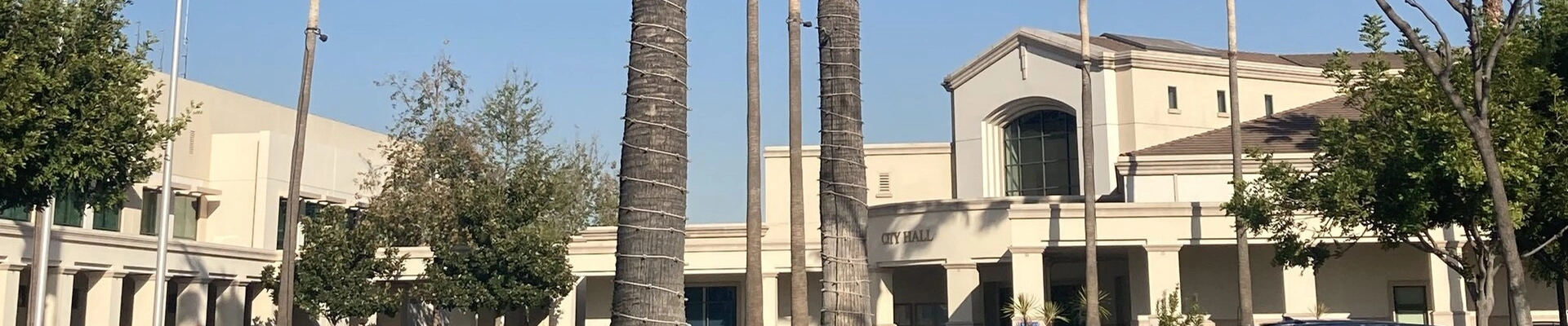 Local pros in Buena Park, CA