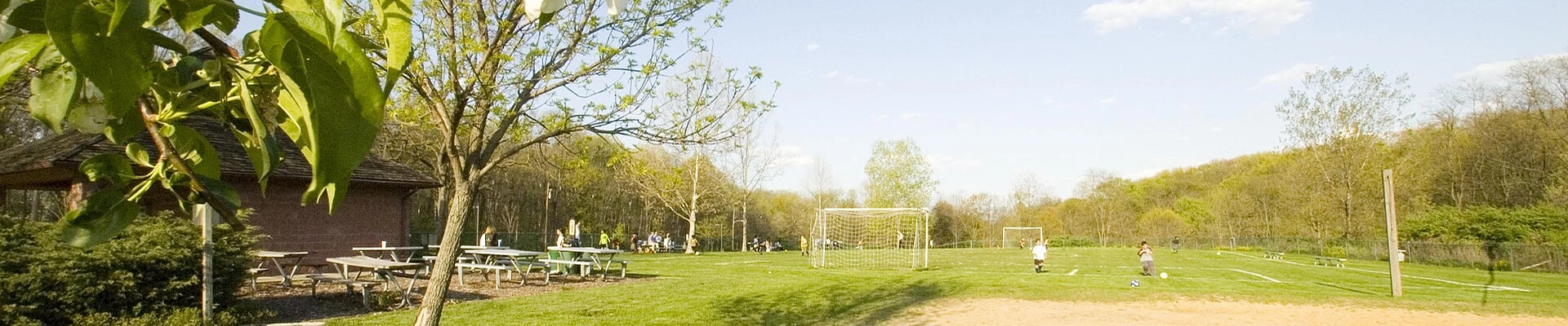 Local pros in Whippany, NJ