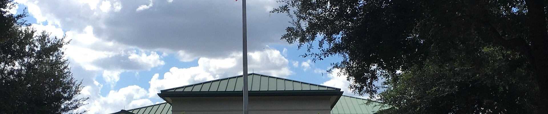 Landscaping in Seffner, FL