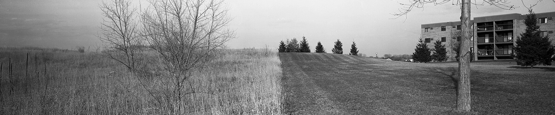 HVAC, House Cleaning, and Landscaping in Eden Prairie
