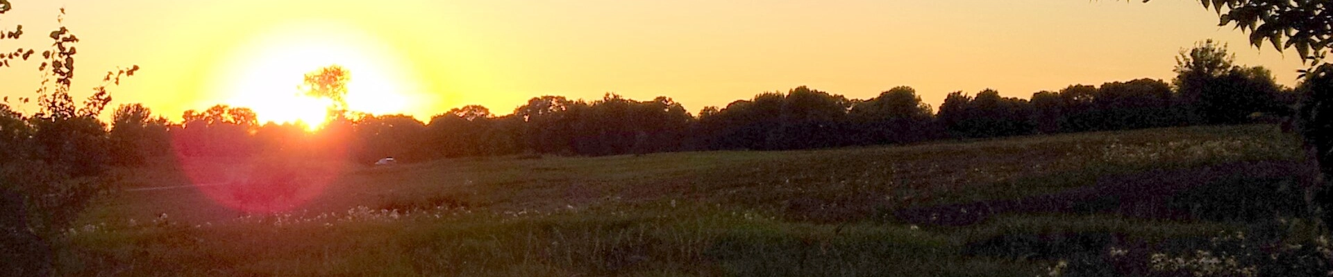 Local pros in Lake Elmo, MN
