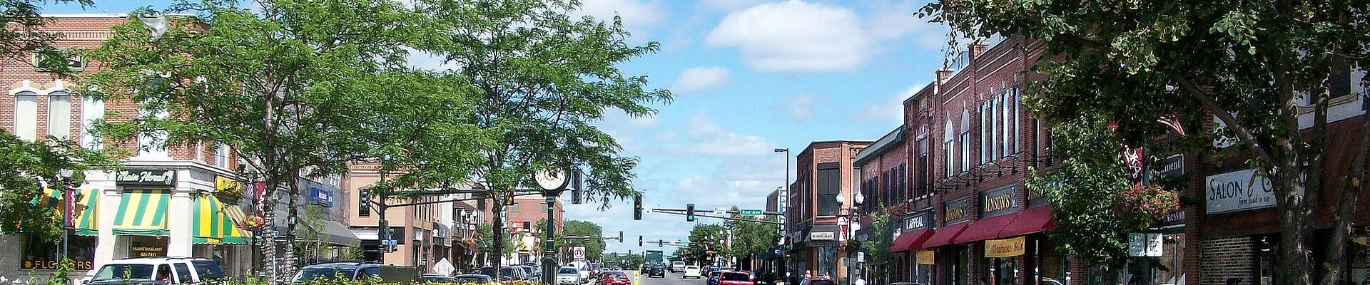 Local pros in Anoka, MN