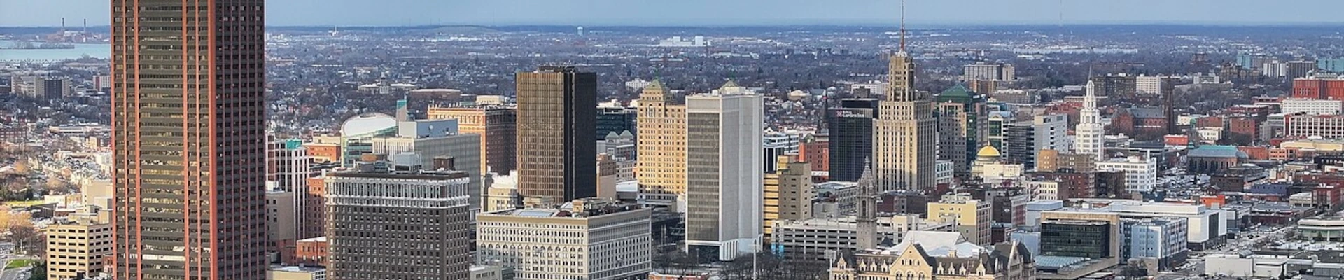 Tree providers in Buffalo