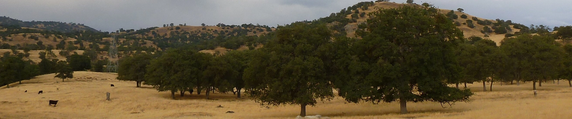 HVAC, Electrical, and Plumbing in Tehachapi