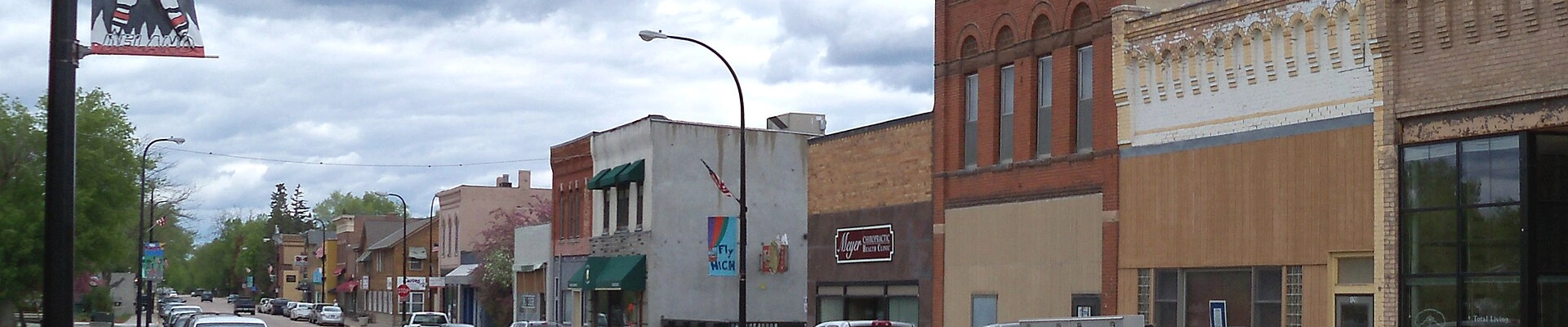 Local pros in Delano, MN