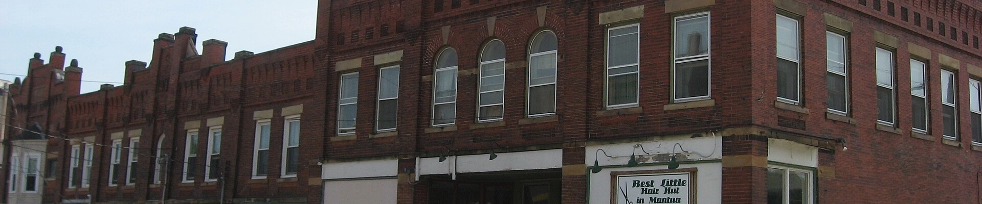Tree in Mantua, OH