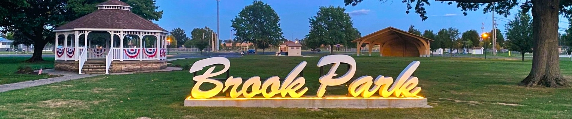 Local pros in Brook Park, OH