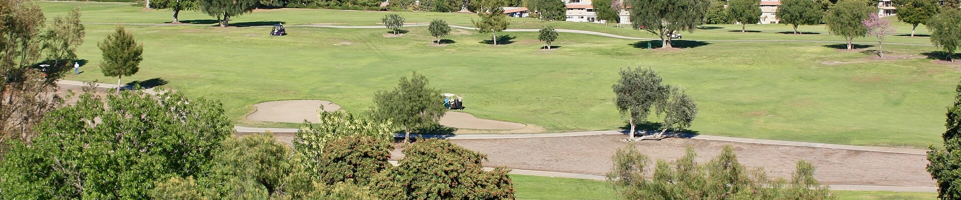 Local pros in Laguna Woods, CA