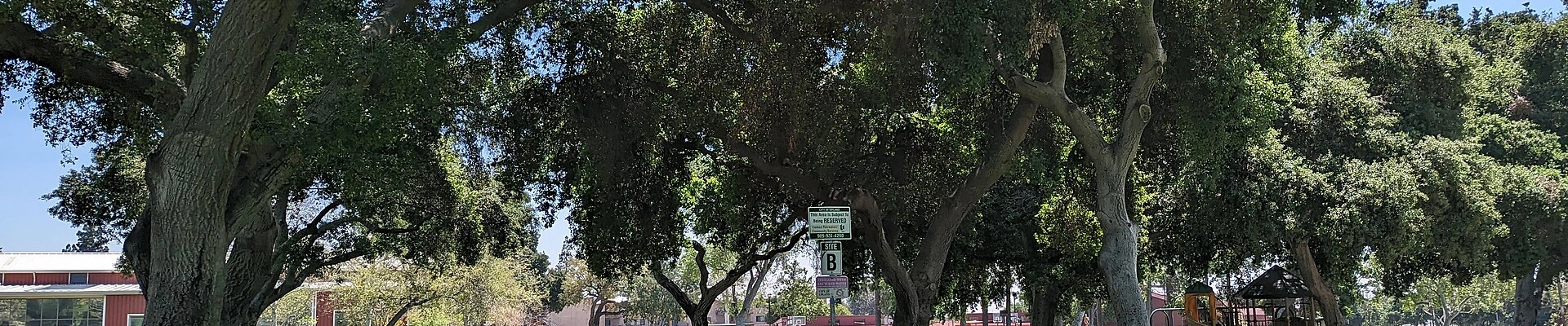 Local pros in Upland, CA