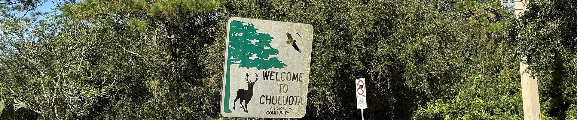 Local pros in Chuluota, FL