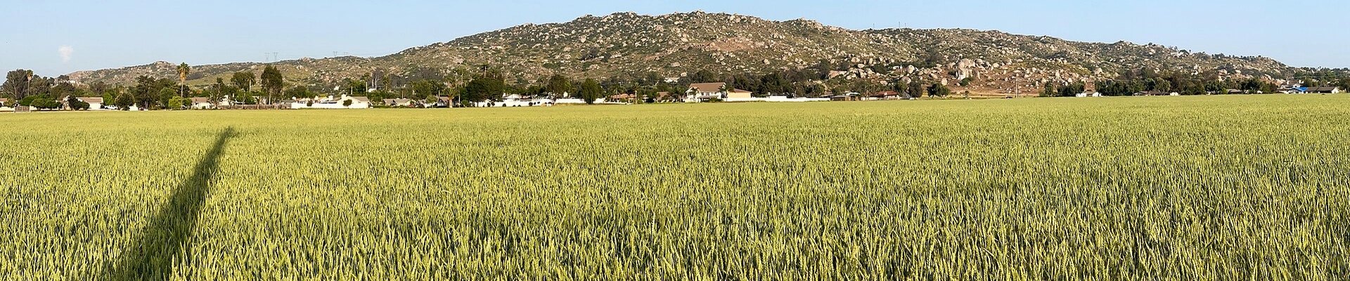 Local pros in Nuevo, CA
