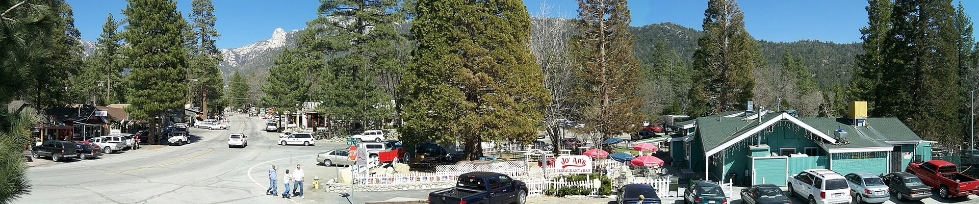 Local pros in Idyllwild-Pine Cove, CA
