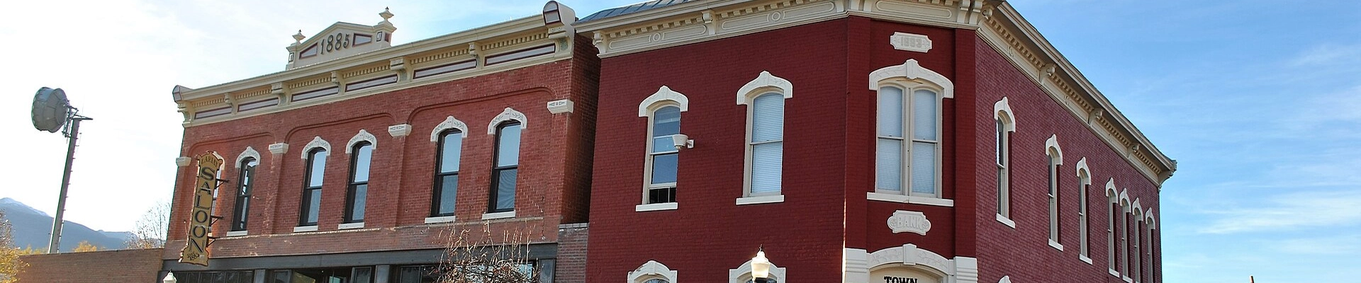 Plumbing, Tree, and Electrical in Buena Vista