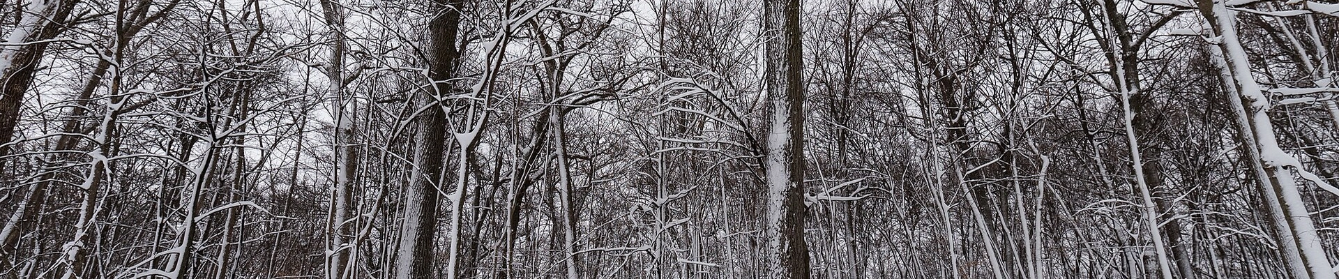 Local pros in Dundas, MN