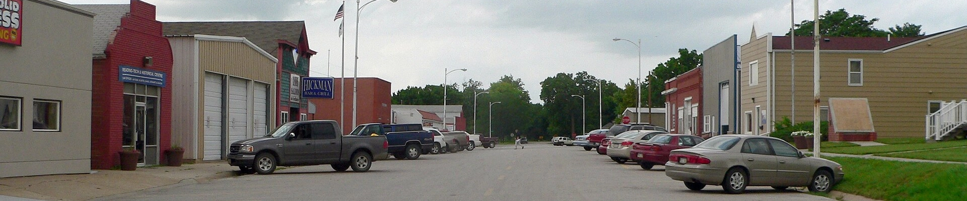 Local pros in Hickman, NE