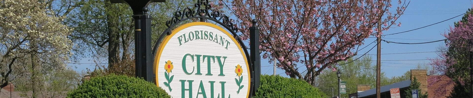 Local pros in Florissant, MO