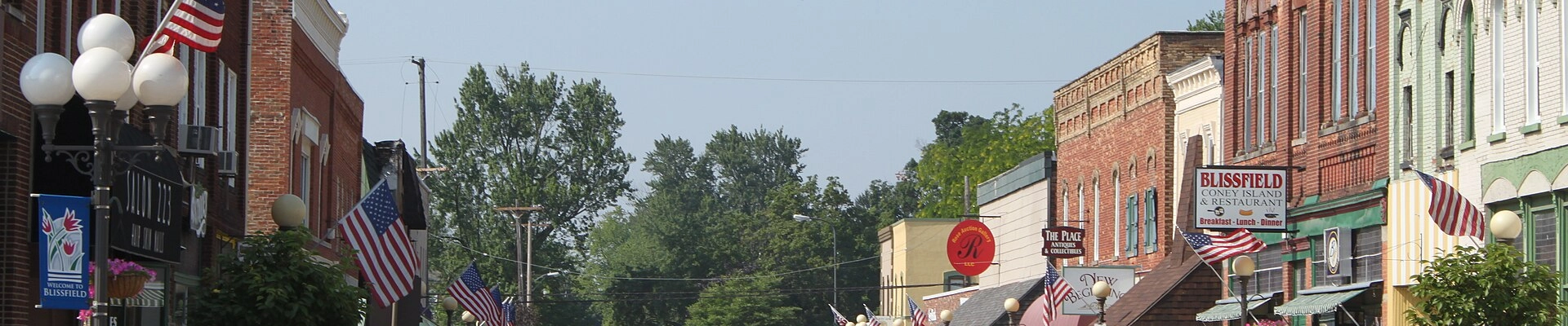 Contractor providers in Blissfield
