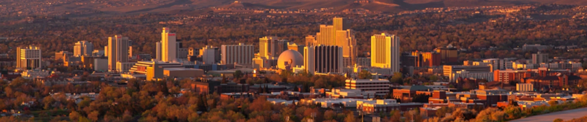 House Cleaning providers in Reno