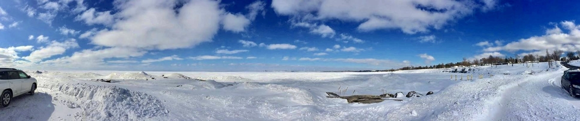 Local pros in Hamburg, NY