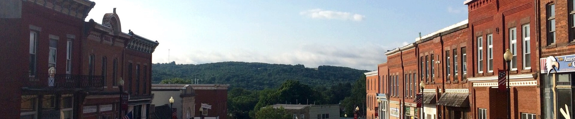 HVAC and Tree in Cattaraugus