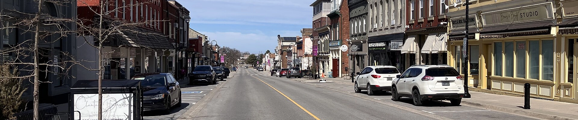 Electrical, Plumbing, and Landscaping in Thorold