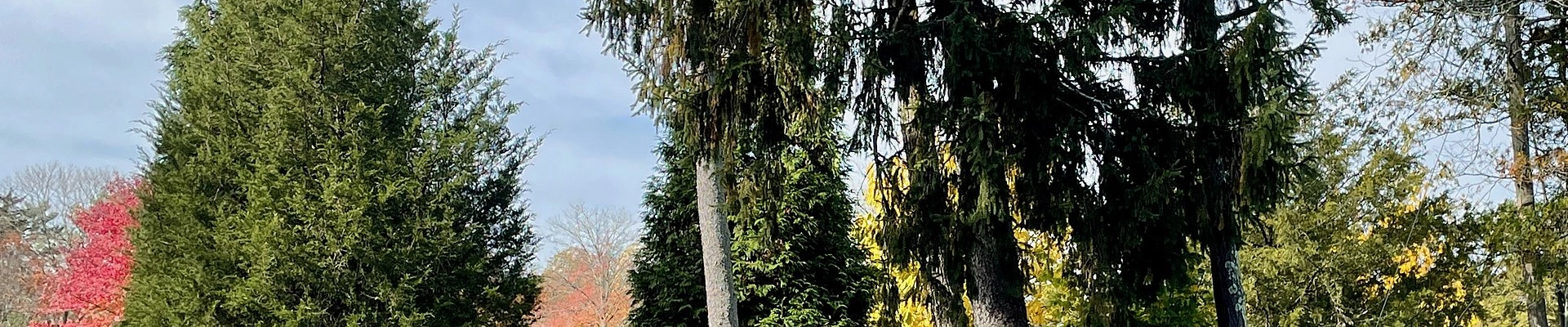 HVAC, Landscaping, and Electrical in Lincroft