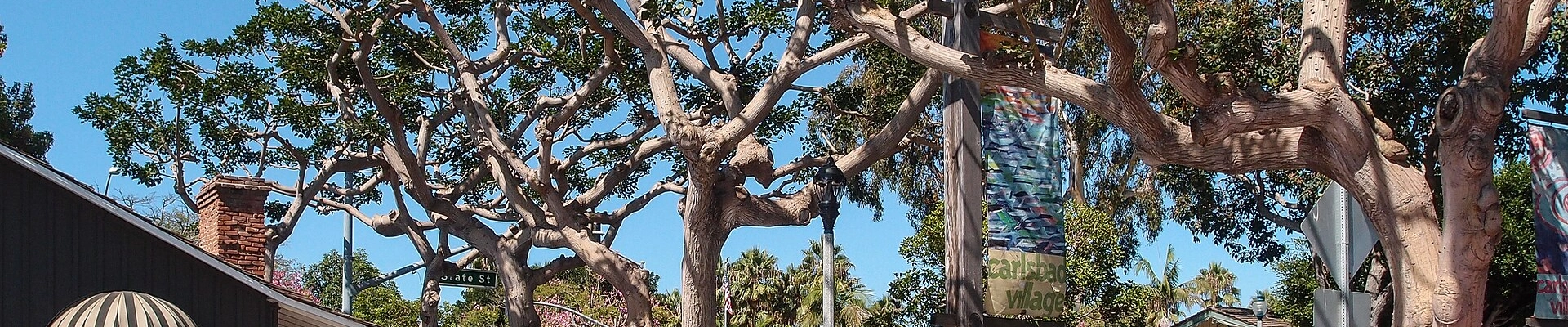 House Cleaning in Carlsbad, CA