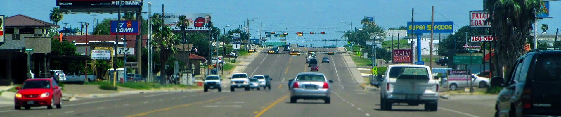 Local pros in Zapata, TX