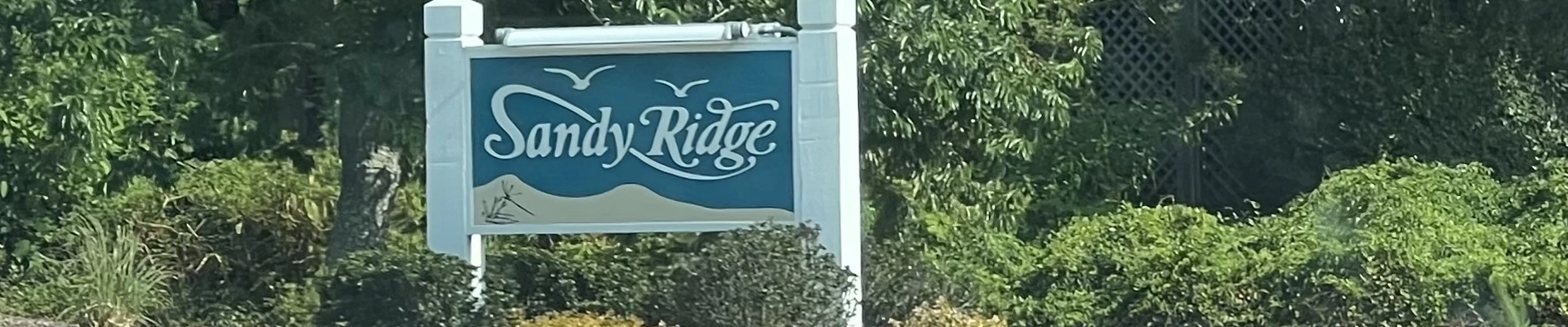 Local pros in Sandy Ridge, NC