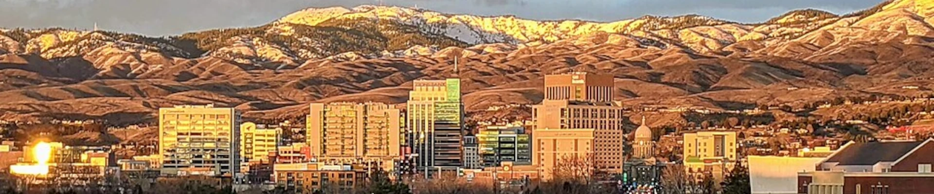 Local pros in Boise, ID