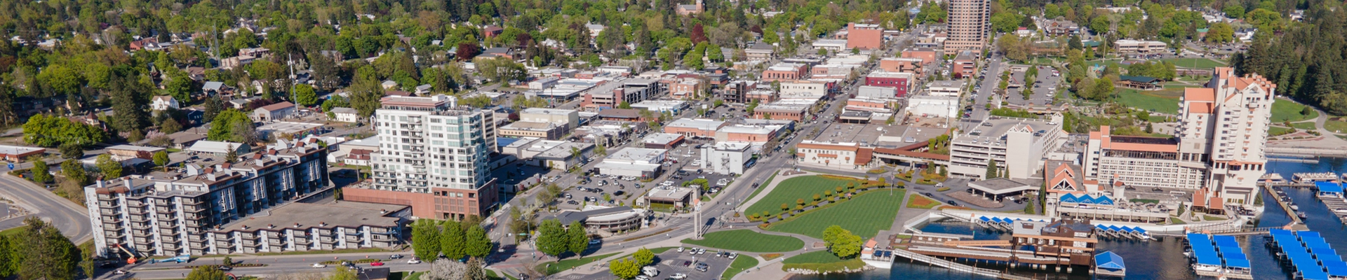 Tree providers in Coeur d'Alene