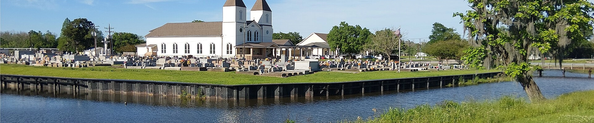 Local pros in St Amant, LA