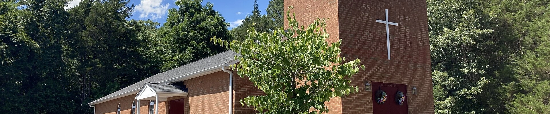 Tree in Manakin-Sabot, VA