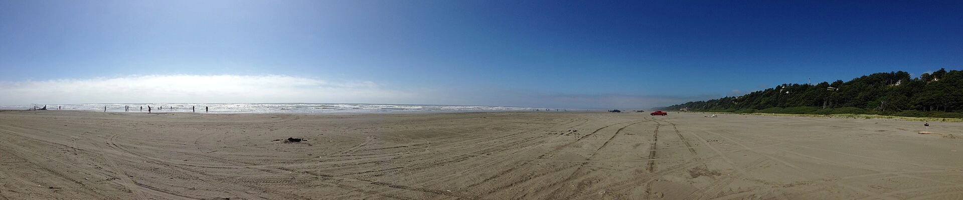 Local pros in Pacific, WA