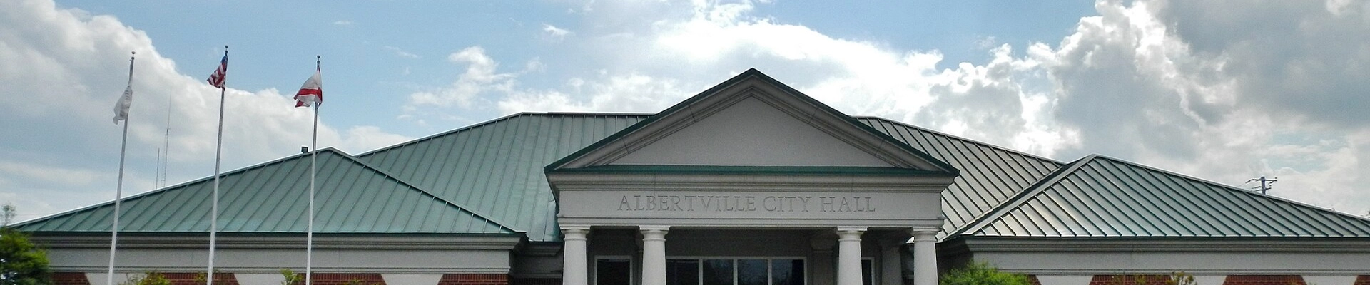 House Cleaning, Tree, and Electrical in Albertville