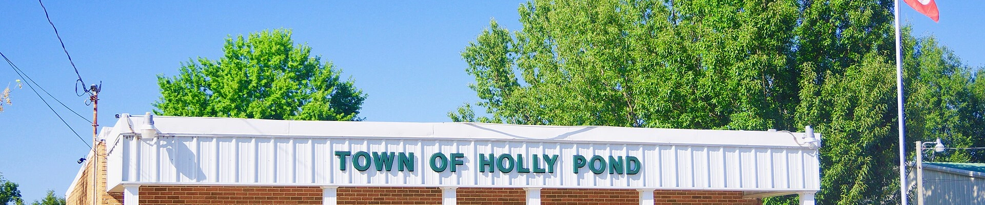Local pros in Holly Pond, AL