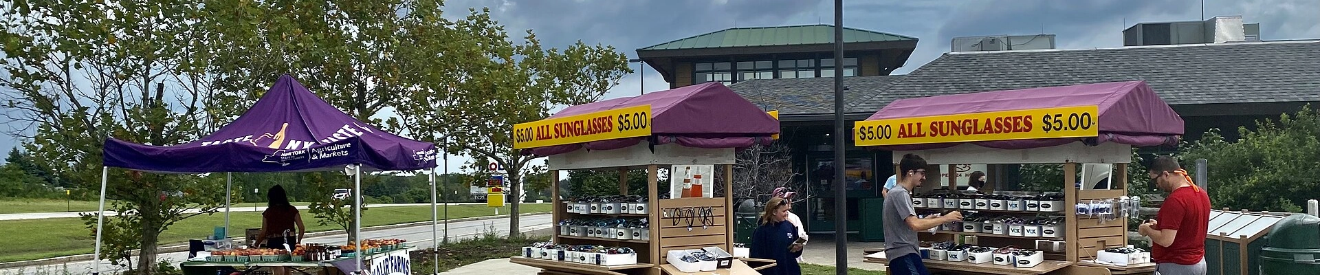 Local pros in Scottsville, NY