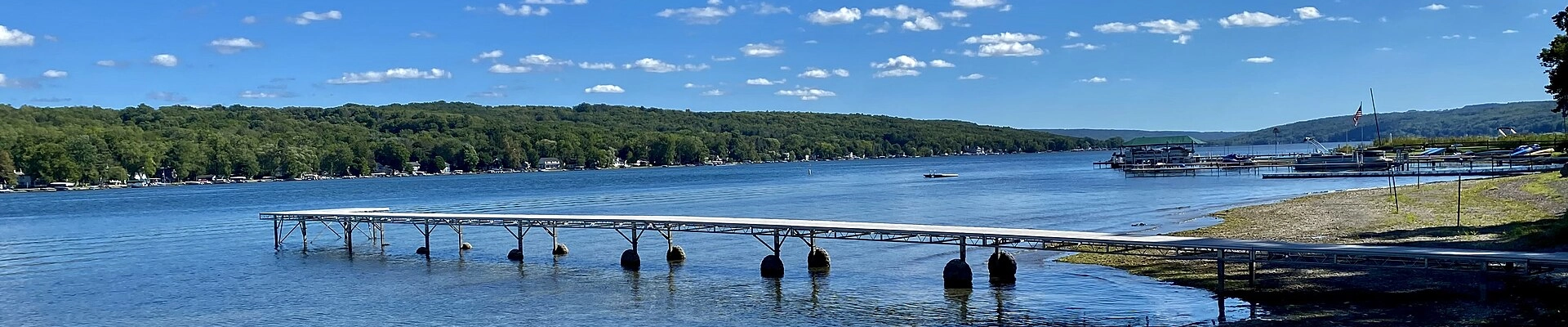 Local pros in Geneseo, NY