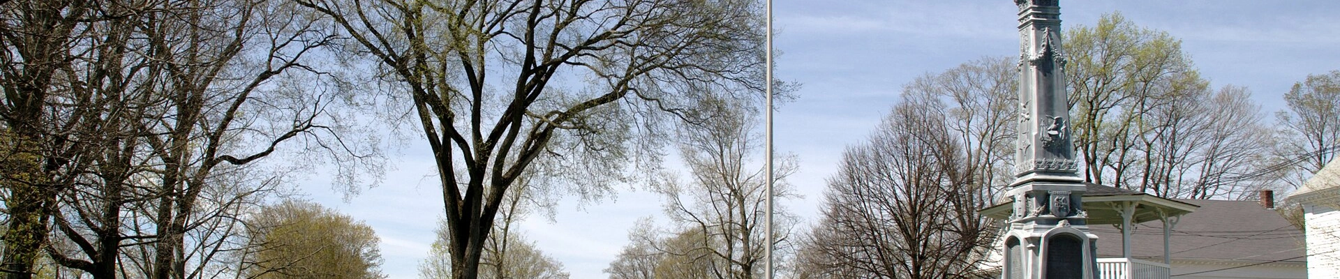 Tree in Belchertown, MA