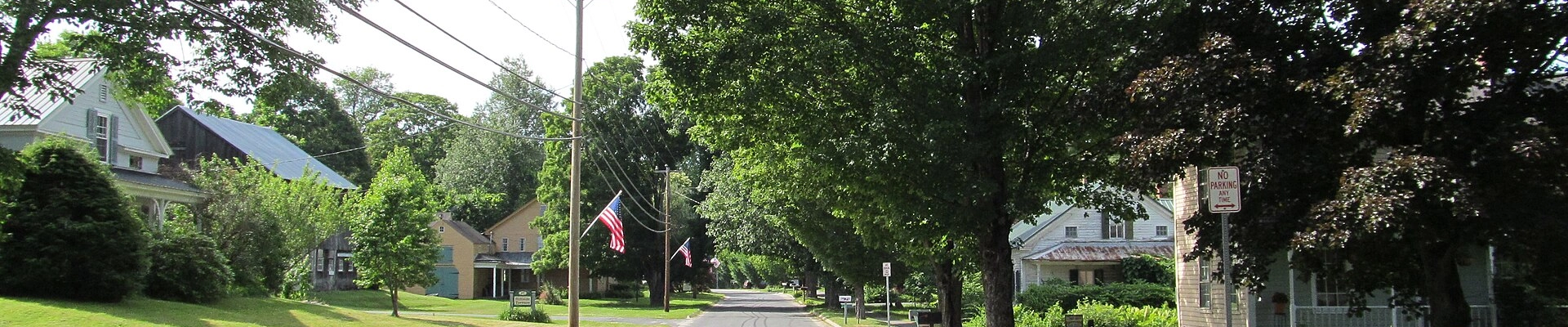 Tree in Cummington, MA