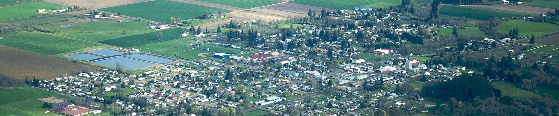 Local pros in Amity, OR